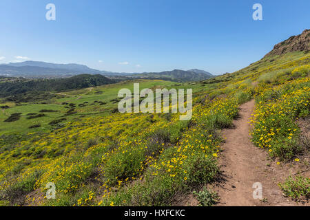 Vue colline verte de Wildwood Regional Park dans le comté de Ventura communauté de Thousand Oaks, en Californie. Banque D'Images