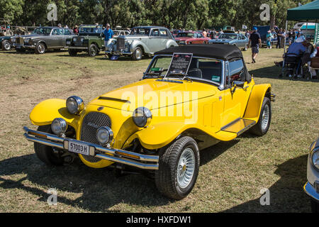 Un panther kallista voiture dans un pays montrent en Australie. Banque D'Images