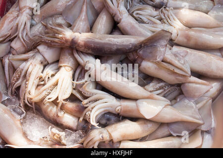 Le calmar en vente sur une échoppe de marché sur Khlong Toei market à Bangkok, Thaïlande Banque D'Images