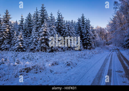 Forêt gelée avec route enneigée à l'aube en hiver Banque D'Images