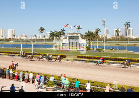 HALLANDALE BEACH, USA - MAR 11, 2017 : courses de chevaux le Gulfstream Park race track à Hallandale Beach, Florida, United States Banque D'Images