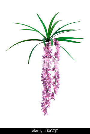 Le rendu 3D de fleurs orchidée sauvage isolé sur fond blanc Banque D'Images