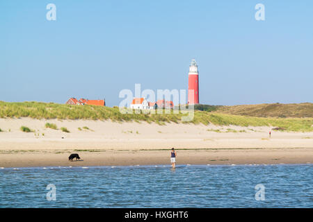 L'homme et le chien sur la plage et De Cocksdorp phare sur l'île de Wadden Frise occidentale Texel, Pays-Bas Banque D'Images