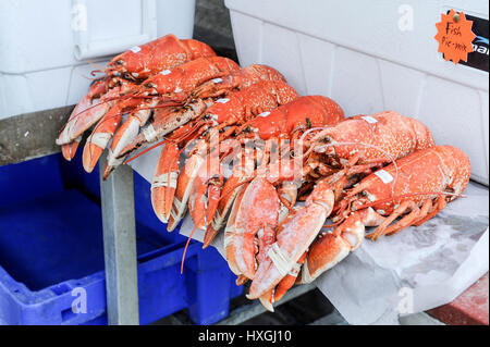 Les homards en vente à l'étal de poisson à Aldeburgh, Suffolk, UK Banque D'Images