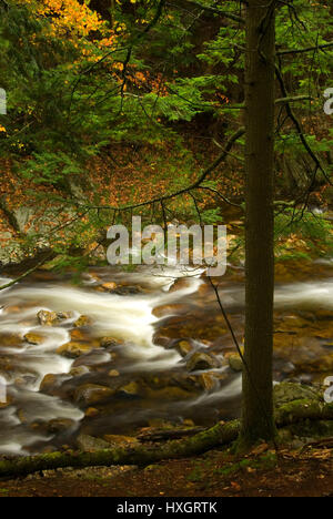 Middlebury River, Green Mountain National Forest, Vermont Banque D'Images