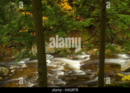 Middlebury River, Green Mountain National Forest, Vermont Banque D'Images