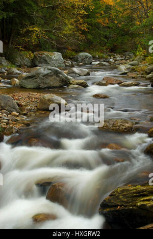 Middlebury River, Green Mountain National Forest, Vermont Banque D'Images