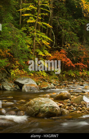 Middlebury River, Green Mountain National Forest, Vermont Banque D'Images