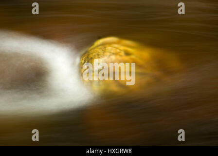 Middlebury River, Green Mountain National Forest, Vermont Banque D'Images