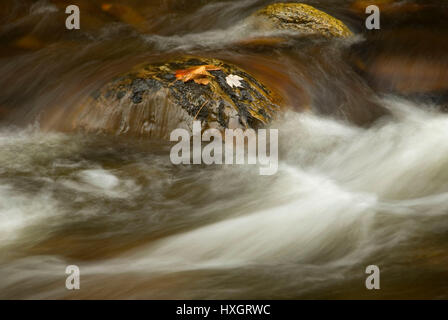 Middlebury River, Green Mountain National Forest, Vermont Banque D'Images