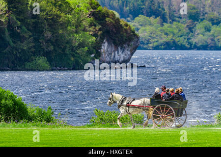 Voiture jaunting, Muckross Lake, Killarney, comté de Kerry, Irlande Banque D'Images
