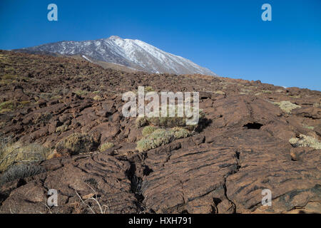 En regardant vers le volcan de Teide sur l'île de Tenerife Banque D'Images