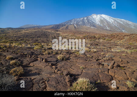 En regardant vers le volcan de Teide sur l'île de Tenerife Banque D'Images