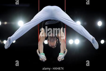 Bagues pour Hommes Hommes Hommes de gymnastique gymnastique du SECC GLASGOW ECOSSE HYDRO 28 Juillet 2014 Banque D'Images