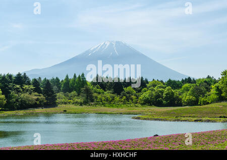 Le Mont Fuji et mousse rose en mai au Japon ,focus sélectif avant-plan flou Banque D'Images