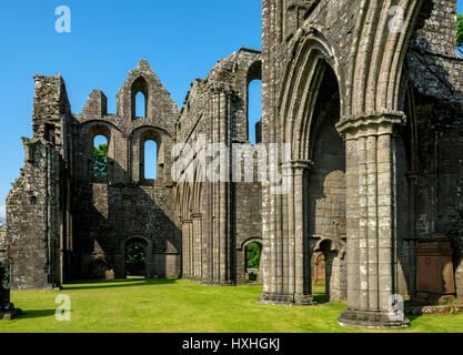L'Abbaye de Dundrennan, Dumfries et Galloway, Écosse, Royaume-Uni Banque D'Images