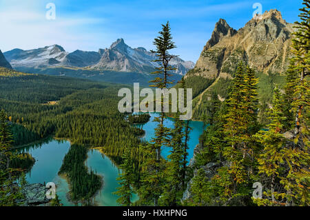 Donnant sur le lac O'Hara et Mary Lake, du plateau Opabin, le parc national Yoho, Colombie-Britannique, Canada Banque D'Images