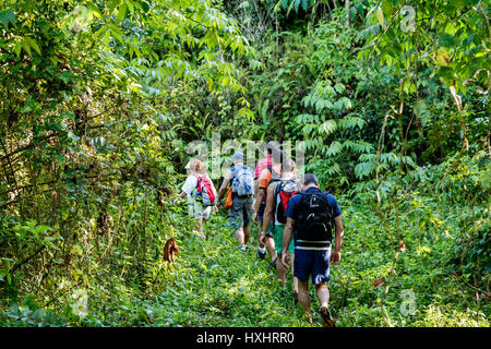 Randonneurs sur le sentier à travers la forêt, près de Utuado, Puerto Rico Banque D'Images