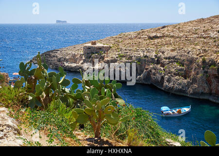 Wied Zurrieq Fjord, MALTE - Juillet 24, 2015 : cactus Opuntia au-dessus de l'eau de Wied Zurrieq Fjord sur l'extrémité sud de l'île de Malte Banque D'Images