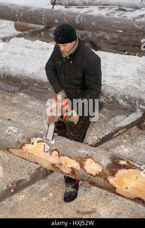 Leningrad Region, Russie - Février 2, 2010 : l'utilisation de l'enregistreur de journal pour la coupe à la tronçonneuse. Banque D'Images