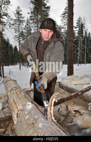 Leningrad Region, Russie - Février 2, 2010 : Le processus d'épluchage et de l'écorçage, l'homme de bois de sciage à l'aide d'une écorce écorçage du chat. Banque D'Images