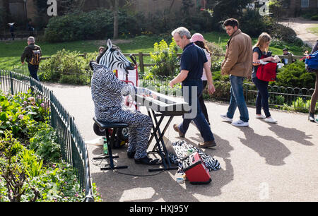 Brighton, UK. Mar 28, 2017. Le Moelleux bien connue des visiteurs de Zebra divertit comme Brighton Pavilion Gardens le printemps chaud temps persiste tout au long de la Grande-Bretagne aujourd'hui, certains secteurs s'attendent à atteindre 19 degrés Crédit : Simon Dack/Alamy Live News Banque D'Images