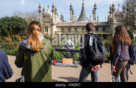 Brighton, UK. Mar 28, 2017. Le Moelleux bien connue des visiteurs de Zebra divertit comme Brighton Pavilion Gardens le printemps chaud temps persiste tout au long de la Grande-Bretagne aujourd'hui, certains secteurs s'attendent à atteindre 19 degrés Crédit : Simon Dack/Alamy Live News Banque D'Images