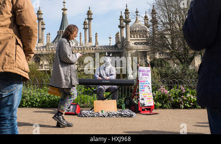 Brighton, UK. Mar 28, 2017. Le Moelleux bien connue des visiteurs de Zebra divertit comme Brighton Pavilion Gardens le printemps chaud temps persiste tout au long de la Grande-Bretagne aujourd'hui, certains secteurs s'attendent à atteindre 19 degrés Crédit : Simon Dack/Alamy Live News Banque D'Images