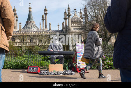 Brighton, UK. Mar 28, 2017. Le Moelleux bien connue des visiteurs de Zebra divertit comme Brighton Pavilion Gardens le printemps chaud temps persiste tout au long de la Grande-Bretagne aujourd'hui, certains secteurs s'attendent à atteindre 19 degrés Crédit : Simon Dack/Alamy Live News Banque D'Images