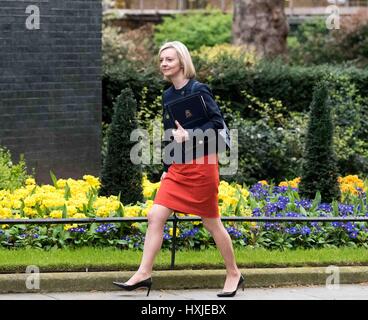 Londres, Royaume-Uni. Mar 29, 2017. Brexit réunion du cabinet -Liz Truss, Secrétaire de la Justice Crédit : Ian Davidson/Alamy Live News Banque D'Images