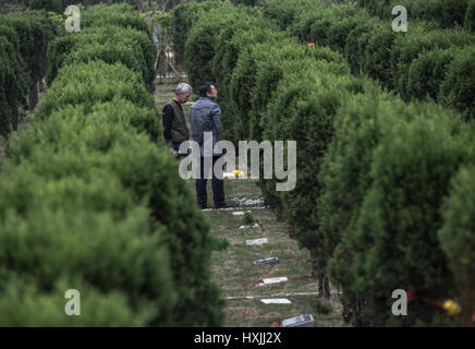 Wuhan, province du Hubei en Chine. Mar 29, 2017. Les membres de la famille du défunt le deuil de l'arbre tombe inhumation dans un cimetière à Wuhan, capitale de la province du Hubei en Chine centrale, le 29 mars 2017. Credit : Xiao Yijiu/Xinhua/Alamy Live News Banque D'Images