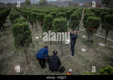 Wuhan, province du Hubei en Chine. Mar 29, 2017. Les membres de la famille du défunt le deuil de l'arbre tombe inhumation dans un cimetière à Wuhan, capitale de la province du Hubei en Chine centrale, le 29 mars 2017. Credit : Xiao Yijiu/Xinhua/Alamy Live News Banque D'Images