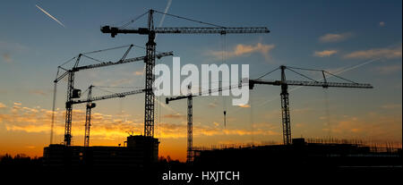 Silhouette d'un site de construction grues au lever du soleil près d'Amsterdam, Pays-Bas, vue panoramique. Banque D'Images