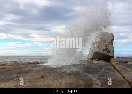 Souffleur à Bicheno plage à l'océan, Tasmanie, Australie Banque D'Images