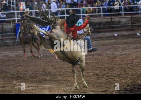 Rapport sur les cavaliers de rodéo et de l'environnement autour de ce Vaquero sport qui a une grande force dans l'État de Sonora. Les images d'un disque West rodeo arena en journée Banque D'Images