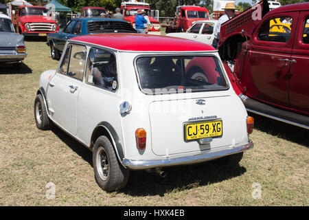 Le rouge et le blanc Morris Cooper s. Banque D'Images