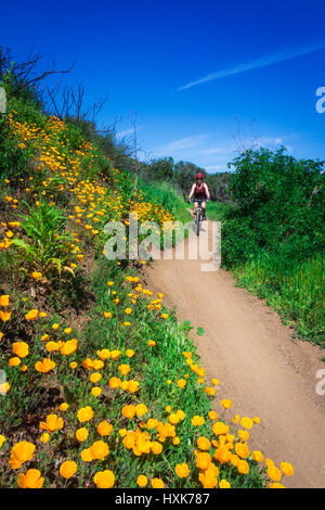 Vtt à Sycamore Canyon, Point Mugu State Park, Malibu, California USA Banque D'Images