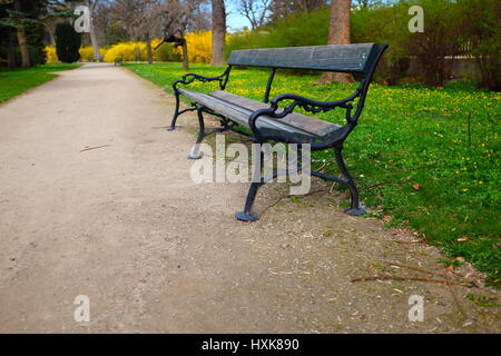 Banc de parc vide au printemps à Vienne, Autriche Banque D'Images