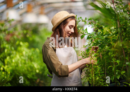 Belle jeune femme jardinage en pépinière Banque D'Images