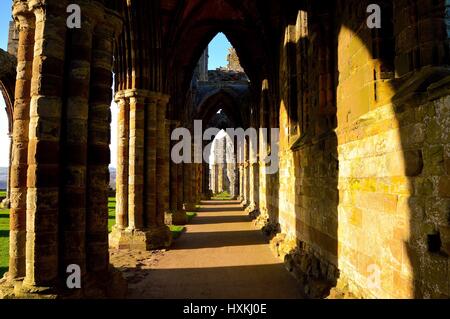 L'Abbaye de Whitby-Côté Nord Banque D'Images