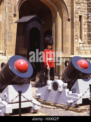 Garde galloise à la Tour de Londres, Tower Hamlets London, Greater London, Angleterre, Royaume-Uni Banque D'Images