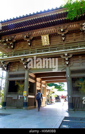 Temple Takaosan Yakuoin Shitenno-mon Gate ville Hachioji Tokyo Japon Banque D'Images