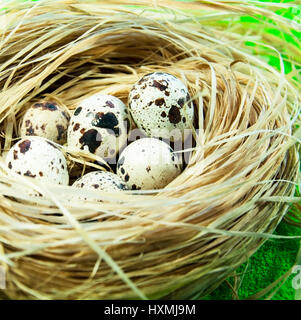 Les oeufs de poule, peint en différentes couleurs pour Pâques Banque D'Images
