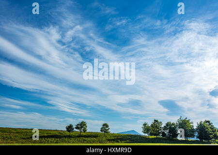 Une journée d'été produit un blue cloudy sky en dehors de Roanoke en Virginie. Banque D'Images