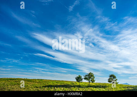 Une journée d'été produit un blue cloudy sky en dehors de Roanoke en Virginie. Banque D'Images