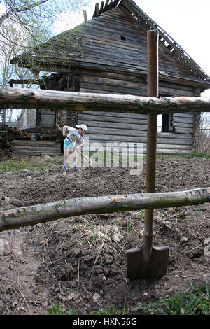 Lipovec village, région de Tver, Russie - Mai 7, 2006 : Campagne fille russe travaille le sol à l'aide d'un chat. Banque D'Images