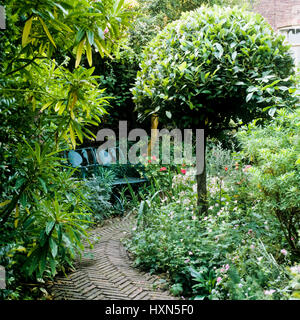 Chemin de jardin avec banc. Banque D'Images