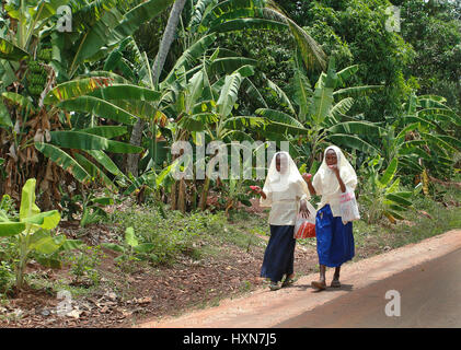 Zanzibar, Tanzanie, 18 février 2008 : deux écolières musulmanes portant le hijab, marcher le long de la côté de la route, après les plantations de bananes et d'Eatin'M Banque D'Images