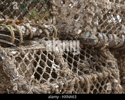 Des casiers à homard et crabe Banque D'Images