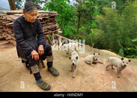 La province du Guizhou, Chine - 10 avril:Une vieille femme chinoise en vert chaussures de sport, assis en face de sa maison entourée de sale, chiots beige , Apri Banque D'Images